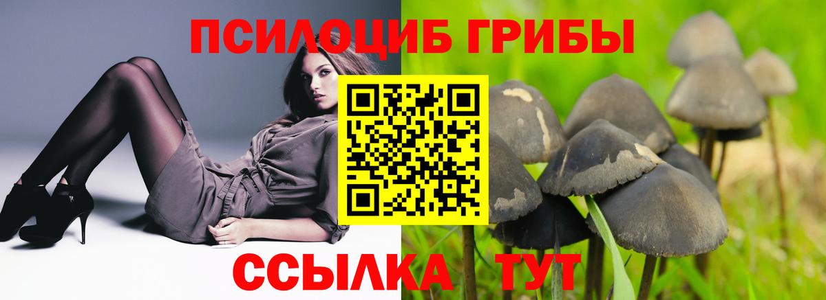 наркотики  Вход с VPN  Мирный  Псилоцибиновые грибы Psilocybe 